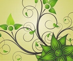 Beautiful Flower Vector Graphic
